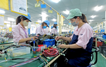 Hàng chục triệu lao động được thụ hưởng chính sách hỗ trợ liên quan BHXH