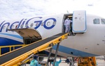 Thêm hơn 2 triệu viên thuốc điều trị Covid-19 đã về Việt Nam