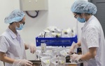 Hành trình khởi nghiệp xanh của người phụ nữ đam mê thảo dược lên men