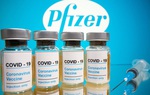 Bộ Y tế chưa nhận được đề nghị nhập 15 triệu liều vaccine Pfizer ngừa Covid-19