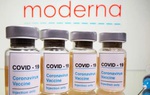 Nhóm luật sư kiều bào Mỹ muốn tặng TPHCM 50.000 lọ vaccine Moderna