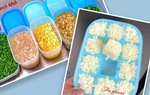 Học cách trữ đông hành lá, tỏi, ớt sơ chế sẵn, khi cần chỉ việc lấy nấu ngay