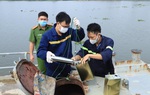 Đồng Nai: Khởi tố hàng chục bị can, thu giữ, kê biên tài sản trên 1.000 tỷ đồng trong đại án xăng giả