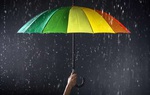 Bài học cuộc đời từ một cơn mưa