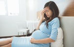 Mất việc bởi dịch bệnh, bị chồng và nhà chồng gây chuyện