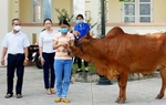 Bắc Giang: Phụ nữ giúp nhau thoát nghèo, góp phần phát triển kinh tế địa phương