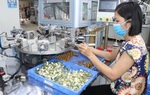 Lập Tổ công tác đặc biệt để tháo gỡ khó khăn cho doanh nghiệp, người dân bị ảnh hưởng bởi Covid-19