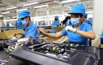 Số doanh nghiệp thành lập mới trong tháng 8/2021 giảm 57%