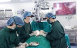 Hỗ trợ bệnh nhân vô sinh, hiếm muộn giữa mùa dịch COVID-19