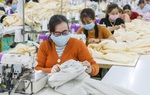 Một số chính sách mới của Chính phủ có hiệu lực từ tháng 1/2022