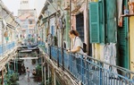 Thân thương những con hẻm ở Sài Gòn