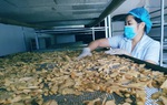 Đưa thảo mộc vườn nhà vào sản phẩm OCOP 4 sao