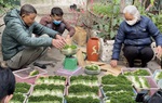 “Trạm yêu thương” mang Tết đến sớm với xóm chạy thận