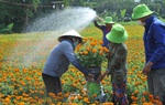 Đến Cầu Ngang - Lái Thiêu ngắm muôn hoa khoe sắc đón Tết