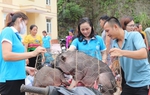 Trao "cần câu" để phụ nữ làm nên sản nghiệp