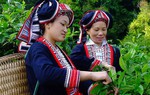 Nâng cao quyền năng kinh tế cho phụ nữ dân tộc thiểu số