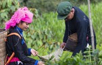 Đa dạng cách làm sạch môi trường của phụ nữ Lào Cai