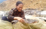 Rời bản, lênh đênh nuôi cá đặc sản