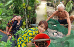 Con rể từ Đức về chơi, choáng ngợp khu vườn của bố vợ, cả tuần không cần đi chợ