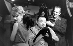 Những bức ảnh hiếm về cuộc tuyển chọn diễn viên mèo của Hollywood năm 1961