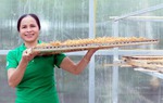 "Tôi đã từ hộ nghèo vươn lên tự tin làm chủ cuộc sống"