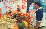 TPHCM: Bí ngô tiền triệu cho Halloween hút khách