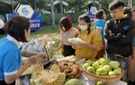 22 ý tưởng khởi nghiệp của phụ nữ Kon Tum được cam kết hỗ trợ vốn hơn 5 tỷ đồng