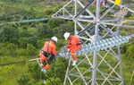 Điện lực miền Bắc đẩy mạnh triển khai các giải pháp để hoàn thành nhiệm vụ năm 2022