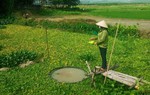 Chăn nuôi tổng hợp - hướng mới cho phụ nữ nông thôn
