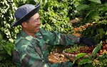 Hợp tác công tư nhằm giảm phát thải và phát triển nông nghiệp bền vững