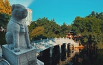 Đền Cẩu Nhi - chốn tâm linh với những giai thoại tưởng đã bị lãng quên giữa lòng Hà Nội