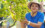 Cần có giải pháp thúc đẩy phụ nữ tham gia trồng cây xanh, bảo vệ rừng