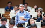 Đại biểu Quốc hội đề xuất thành lập Quỹ phòng, chống bạo lực gia đình