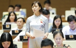 Cần quy định bồi thường bằng tài sản riêng của người có hành vi bạo lực gia đình