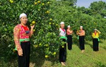 11h ngày 29/10/2022: Đón xem livestream giới thiệu sản phẩm OCOP của hội viên phụ nữ dân tộc thiểu số 