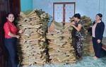 Tiền Giang: Đề án 939 thúc đẩy tinh thần khởi nghiệp của phụ nữ