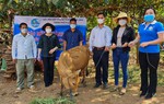 Nâng cao hiệu quả công tác truyền thông, tuyên truyền giúp phụ nữ xóa đói giảm nghèo