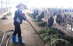 Hướng dẫn người nghèo có kiến thức, kinh nghiệm lao động sản xuất, chủ động vươn lên thoát nghèo