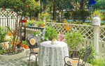 Biến mảnh sân cỏ mọc um tùm thành khu vườn đa sắc