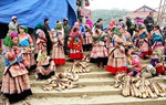 Kết nối sản xuất và tiêu thụ sản phẩm tạo tiền đề cho vùng dân tộc thiểu số và miền núi giảm nghèo 