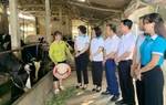 Hà Nội triển khai có hiệu quả nhiều chính sách đặc thù thực hiện mục tiêu giảm nghèo bền vững
