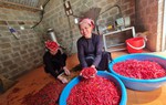 Chuyển đổi số (kỳ 2): Giúp hội viên, phụ nữ từ giảm nghèo thông tin đến phát triển kinh tế