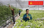 Rà soát chính sách hỗ trợ hợp tác xã, thúc đẩy sản xuất, nâng cao chất lượng hàng hóa