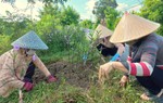 Long An: Đa dạng hoạt động, mô hình góp phần xây dựng nông thôn mới