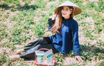 Người phụ nữ Tày đưa sản phẩm trà diếp cá vào thị trường trà Việt