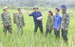 Những đổi thay của phụ nữ ở miền Tây Quảng Trị