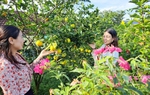 Cánh tay nối dài của các cấp hội phụ nữ Hà Tĩnh trong tuyên truyền nâng cao nhận thức của hội viên 