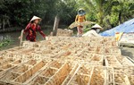 Các cấp Hội LHPN tỉnh Hậu Giang giúp hơn 1.900 hộ thoát nghèo