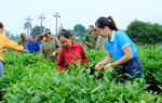 Lào Cai: Những phụ nữ dân tộc thiểu số không cam chịu số phận, vươn lên thoát nghèo