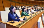 Quốc hội "chốt" khởi điểm đấu giá biển số ô tô là 40 triệu đồng